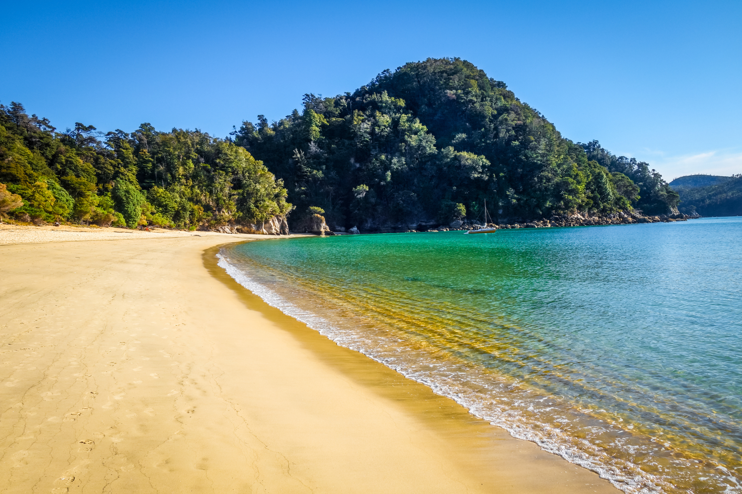 112 abel tasman national park.webp